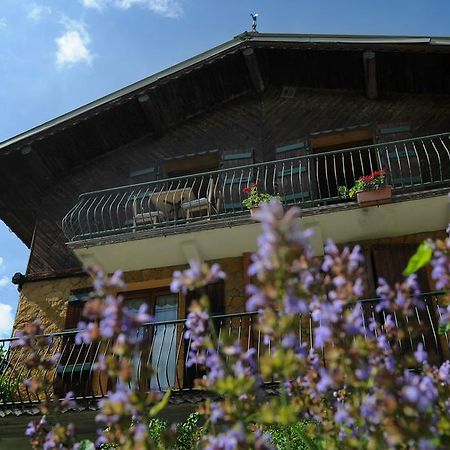 Chalet Genepi Montriond Exterior foto