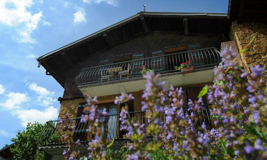 Chalet Genepi Montriond Exterior foto