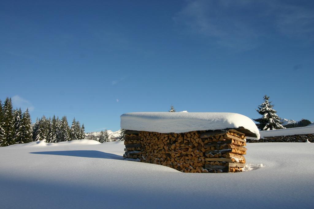 Chalet Genepi Montriond Exterior foto