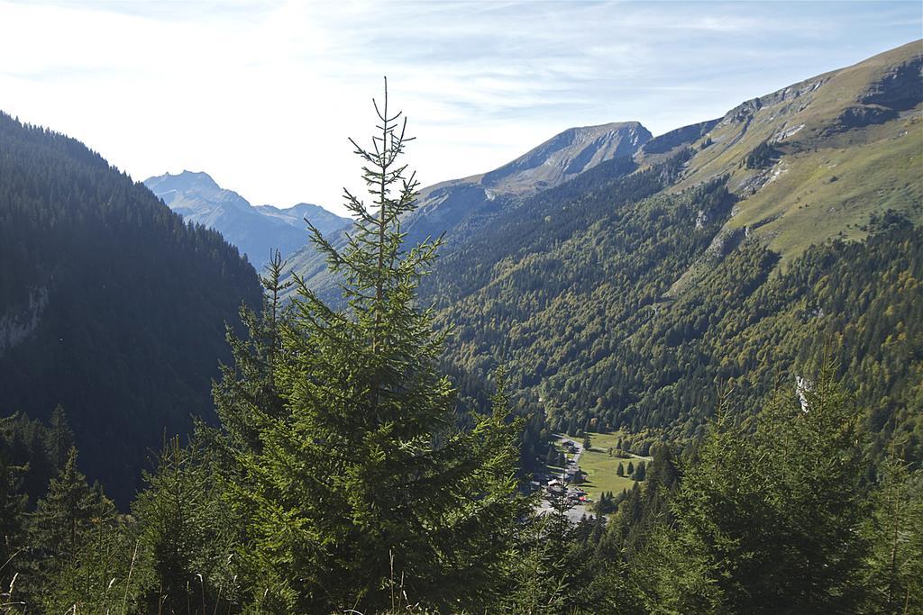 Chalet Genepi Montriond Exterior foto